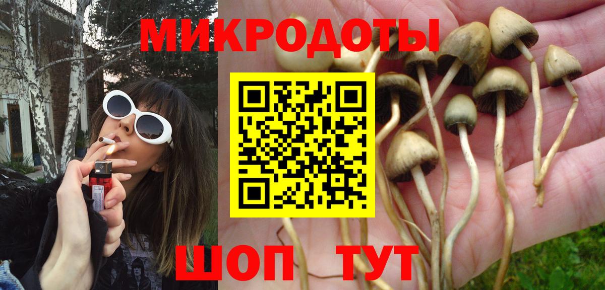 Псилоцибиновые грибы Psilocybine cubensis Рославль